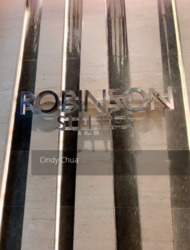 Robinson Suites (D1), Apartment #310401001